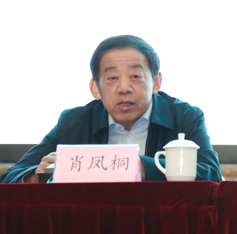 中国工程咨询协会待任会长肖凤桐发表讲话